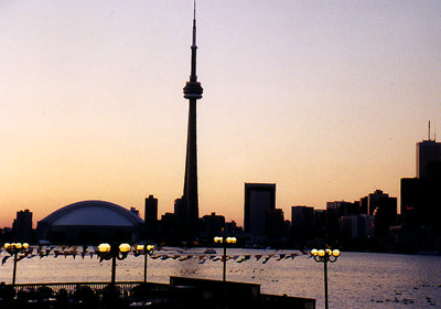Toronto Island Harbour
