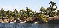 Mermaid Islands main crib and floating docks