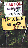 Fragile Mile